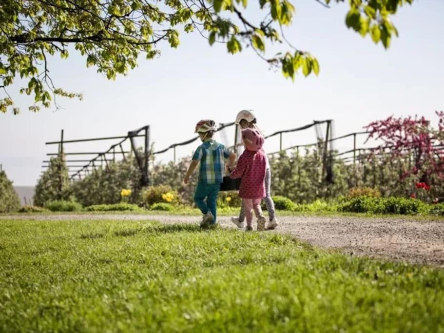 Charmante Und Zentrale Wohnung Am Weiherpark Arbon Buitenkant foto
